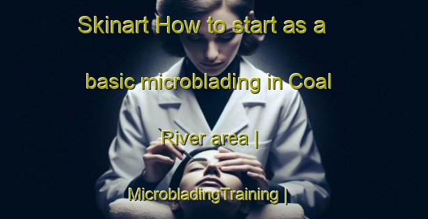 Skinart How to start as a basic microblading in Coal River area | MicrobladingTraining | MicrobladingClasses | SkinartTraining-Canada